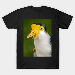 Australian Masked Lapwing (Plover) T-Shirt